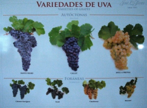 Variedades de uvas